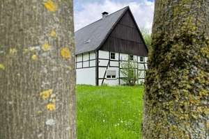 Tierliebhaber aufgepasst ! – Die vollständige Adresse der Immobilie erhältst du vom Anbieter., 59505 Bad Sassendorf – Vorschaubild 7