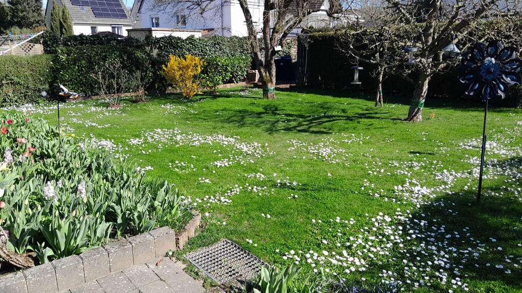 Immobilie in Meisenheim - 5-Zimmer Reihenendhaus in Meisenheim mit Garten und Garage - Bild 4