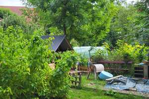 Gemütliches 3,5-Zimmer-Haus mit Garten in Kraichtal – Karlsruhe (Kreis) – Vorschaubild 10