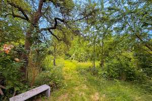 Dortmund-Derne: Großes Einfamilienhaus, riesiger Garten & viel Platz für Ihre Wohnträume! – 44329 Kirchderne, Dortmund – Vorschaubild 9
