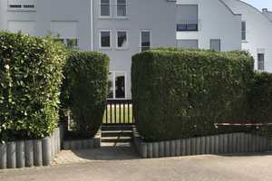  Wiesbaden Sonnenberg, Best Location,   friendly and bright house – Wiesbaden – Vorschaubild 19