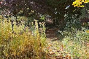 Reihenhaus in der Gartenstadt zu verkaufen – Bayernring 30, 6237 Leuna – Vorschaubild 45