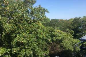 Property thumbnail 22