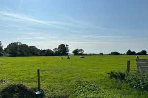 Haus mit 2 Wohnungen in ruhiger Lage mit schöner Aussicht. Preis VHB – Nordfriesland (Kreis) – Vorschaubild 7