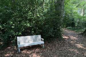 So sehen Träume aus! Imposante Villa auf  9.775 m² parkähnlichem Grundstück und eigenem Wald. – Amtsdamm 65, 27628 Hagen im Bremischen – Vorschaubild 11