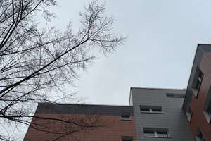Familienwohnung in Darmstadt: 4 Zimmer mit Balkon für kleine Auszeiten – Ostpreußenstraße 8, 64297 Eberstadt, Darmstadt – Vorschaubild 2