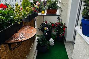 Property thumbnail 18