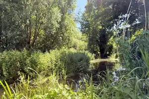 Zwei Häuser, ein Gefühl von Zuhause – Rückzugsort mit Herz – Brandenburg an der Havel – Vorschaubild 25
