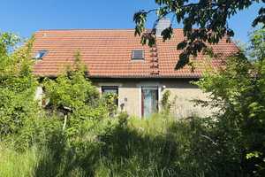 Einfamilienhaus mit Einliegerwohnung auf 1 Hektar Anwesen - für Naturliebhaber & Selbstversorger! – Märkisch-Oderland (Kreis) – Vorschaubild 7