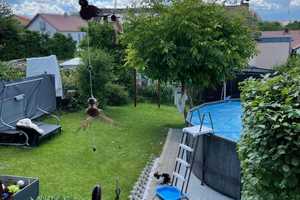 Charmantes Einfamilienhaus bei Deggendorf – Deggendorf (Kreis) – Vorschaubild 6