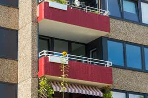 Süße Singlewohnung – Am Spörkel 61, 44227 Menglinghausen, Dortmund – Vorschaubild 7