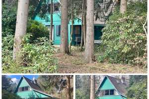 Wochenendhaus am See / Waldlage / Erholung Pur /
Seltene Gelegenheit – Ammerland (Kreis) – Vorschaubild 3