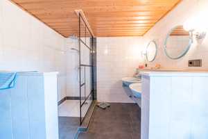 Wunderschönes Einfamilienhaus in ruhiger Lage in Salching – Straubing-Bogen (Kreis) – Vorschaubild 39