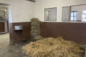 Reitanlage auf 11,5 ha zu verkaufen – Die vollständige Adresse der Immobilie erhältst du vom Anbieter., 51399 Burscheid – Vorschaubild 12