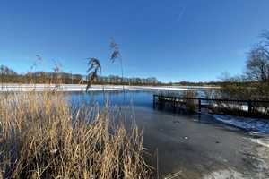 Ein neues Zuhause in Wardersee! – Segeberg (Kreis) – Vorschaubild 7