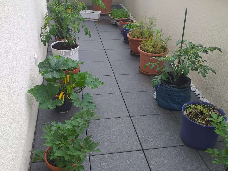 Dachterrasse