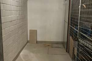 *** Bezugsfreie, tolle 2-Zi.-EG-Wohnung mit großem Garten - ruhig, sonnig, prov.-frei *** – 6128 Böllberg/Wörmlitz, Halle (Saale) – Vorschaubild 17