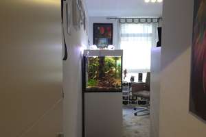 Property thumbnail 13