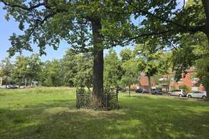 Einziehen und Wohlfühlen – repräsentative Stadtvilla auf Eckgrundstück Dorfkern Alt-Lankwitz    
 – Die vollständige Adresse der Immobilie erhältst du vom Anbieter., 12247 Lankwitz, Berlin – Vorschaubild 56