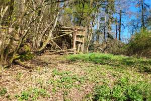 Natur pur: Wohngebäude + Bauplatz + 5ha Wald in Beckingen – An Millessen 30, 66701 Beckingen – Vorschaubild 13