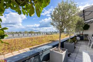 Property thumbnail 19