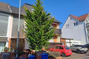 Großes Haus mit 3 Einheiten in gewachsener Lage von Hofheim- Diedenbergen – Die vollständige Adresse der Immobilie erhältst du vom Anbieter., 65719 Hofheim am Taunus – Vorschaubild 2