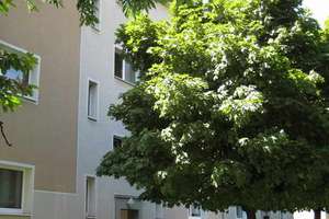 Demnächst frei! 1-Zimmer-Wohnung in Dortmund Körne – 44143 Kaiserbrunnen, Dortmund – Vorschaubild 2