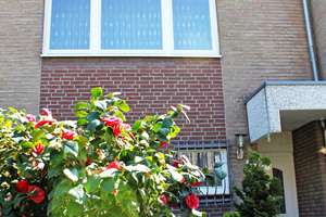 DÜSSELDORF-Eller: "einfamilienhauswohnen. AM PFLANZKAMP." – 40229 Eller, Düsseldorf – Vorschaubild 5