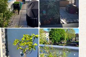 Sonnige Penthousewohnung mit Privatsphäre, Kamin und Tiefgarage – Ferdinand-Ries- Str. 1, 56073 Rauental, Koblenz – Vorschaubild 9