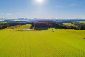 Moderne, energieeffiziente Doppelhaushälften in KfW 40 Standart - Provisionsfrei – Ebersberg (Kreis) – Vorschaubild 10
