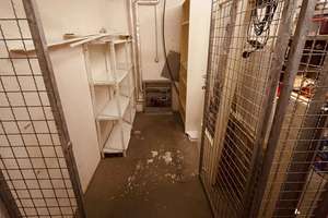 Ruhige 1-Zimmer-Wohnung mit großer Terrasse & Stellplatz in Mainz-Mombach – An der Brunnenstube 15/13, 55120 Mombach, Mainz – Vorschaubild 11