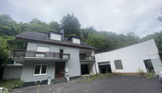 Bild von ALLEINLAGE! 2 Häuser+Gewerbehalle-Grdst. 5117qm- Hs.1 WF 350qm, Hs.2 WF130qm- am Rhein,wie im Urlaub