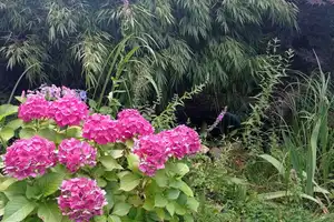 Charmantes REH mit viel Potential in Blumenberg! – Köln – Vorschaubild 6