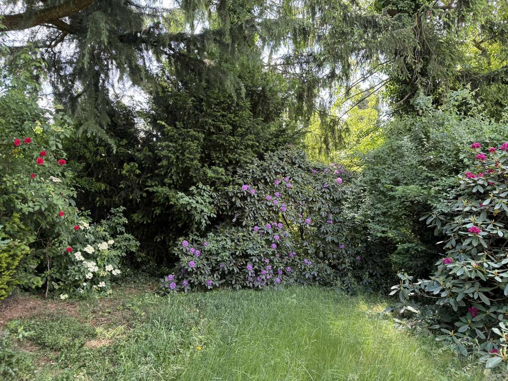 Immobilie in Meerbusch - Doppelhaushälfte an einem Privatweg, in sehr gefragter Lage - Bild 4