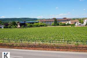 Repräsentative Villa – Stilvolles Wohnen im Herzen von Bad Dürkheim – Die vollständige Adresse der Immobilie erhältst du vom Anbieter., 67098 Bad Dürkheim – Vorschaubild 29