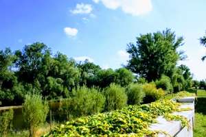 Sonnige Spitzen-Wohnung in Bestlage ! im Zenrtum, am Wasser, ruhig und im Grünene – Oststraße 8, 6844 Innerstädtischer Bereich Nord, Dessau-Roßlau – Vorschaubild 7