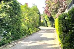 Großzügiges Einfamilienhaus mit weitläufigem, traumhaftem Garten in bester Lage von GÖ-Geismar ! – Göttingen (Kreis) – Vorschaubild 29