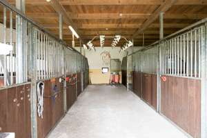 Ideal für Pferdehalter! Pferdehof mit Pferdeboxen, Reitplatz und gr. Lagerhalle – Die vollständige Adresse der Immobilie erhältst du vom Anbieter., 26532 Großheide – Vorschaubild 14