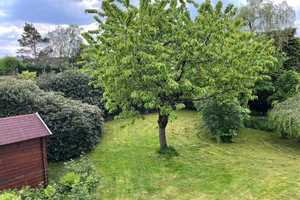 Villa mit angrenzender Gewerbeeinheit (Büro/Praxis) – Oberbergischer Kreis – Vorschaubild 6