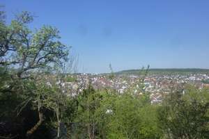 Idyllisches Wohnen in grüner Umgebung. Im Altbau oder als Neubau möglich – Feuerbacher Weg 176, 70469 Feuerbacher Tal, Stuttgart – Vorschaubild 11