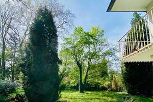 Traumlage in Rheinnähe – Bonn – Vorschaubild 5