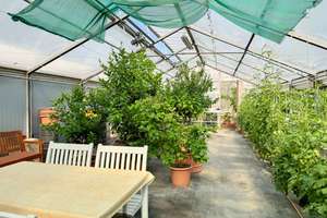 EFH mit besonderem Anwesen | Pool | Kamin | Gewächshäuser | 2 Garagen | direkt am Naturschutzgebiet – 4316 Mölkau, Leipzig – Vorschaubild 13