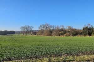 Preisreduktion!!   Selfmade House für Großfamilie am Ortsrand von Leutersdorf  – Görlitz (Kreis) – Vorschaubild 5