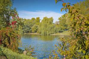 Property thumbnail 15