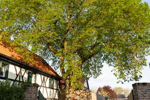 Property thumbnail 28