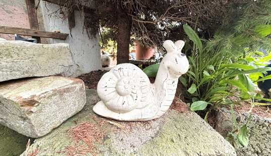 Bild von Zwei Häuser, viele Möglichkeiten - Raum für Ihre Ideen!