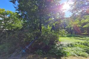 SONNENBALKON*Gropius-Bau*Mitten im Tiergarten*Top-Zustand*4 Zimmer im 4. OG*LIFT**Einbauküche – Die vollständige Adresse der Immobilie erhältst du vom Anbieter., 10557 Hansaviertel, Berlin – Vorschaubild 29