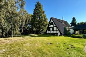 Individuelles Paradies auf dem alten Deich - teilsaniert, mit Südterrasse und großem Garten