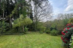 +++ Komplett sanierte 2-3 Zimmer Wohnung, tolles Tageslichtbad, Terrasse, Garten u.v. mehr ++++ – Wolfgangstr. 13, 42655 Solingen-Mitte, Solingen – Vorschaubild 31