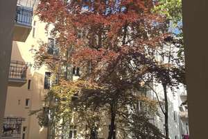 Schöne 1-Zimmer-Wohnung in einem grundsanierten Objekt – Beusselstr. 20, 10553 Moabit, Berlin – Vorschaubild 15